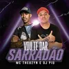 About Vou Te Dar Sarradão Song