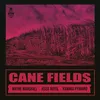 About Cane Fields Song