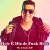 About Hoje É Dia de Funk Bebê Song