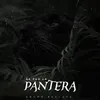 About Se Fue La Pantera Song