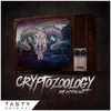 About Cryptozoology Song
