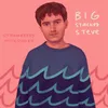 About big stacked steve Song