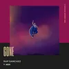 About Gone Song