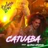 About Catuaba Song