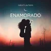 About Enamorado Song