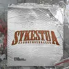 About Sykestua 2021 Song