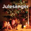 About Nå tennes tusen julelys Song