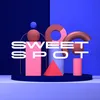 About Sweet Spot Song