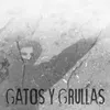 About Gatos y Grullas Song