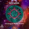 About Analogue Pulse Antaluk Remix Song