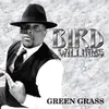 Green Grass Radio Edit
