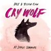 About Cry Wolf Song