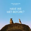 About Have We Met Before? Song