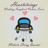 About Wuthering Heights Song