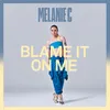 About Blame It On Me Song