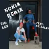 About Nokia Remix Song