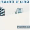 Fragments Of Silence