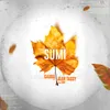 About Sumi Song