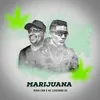 About Marijuana Song