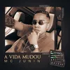 About A Vida Mudou Song