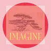 About Imagine Song