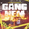About Gang Nem Song