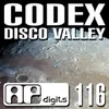 About Disco Valley Song