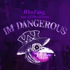 About I'm Dangerous Song