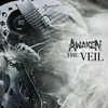 About The Veil Song