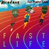 About Fast Life Song