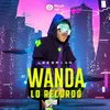 About Wanda Lo Recordó Song