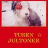 Nu tändas tusen juleljus