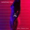 About Wanting You Song