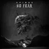 About No Fear Song