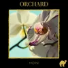 About Orchard Song