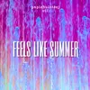 About Feels Like Summer Song