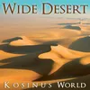 Wide Desert