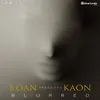 Emptiness Kaon Remix