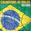 About Champions of Brazil Song