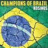 About Brazil Heroes Celebration Song