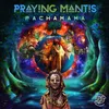 Pachamama