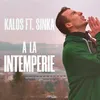 About A la Intemperie Song