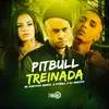 Pitbull Treinada