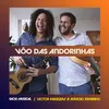 About O Vôo das Andorinhas Song