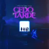About Cedo Ou Tarde Remix Song