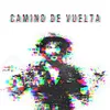 About Camino de vuelta Song