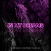 About In My Dreams Song