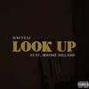 About Look Up Song