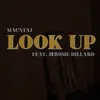 About Look Up Song