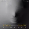 Muse Kaon, Roeth & Grey Remix